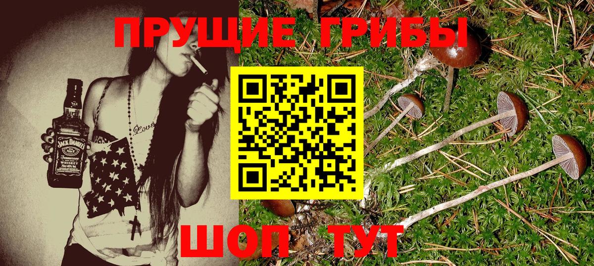 Псилоцибиновые грибы ЛСД Мариинск
