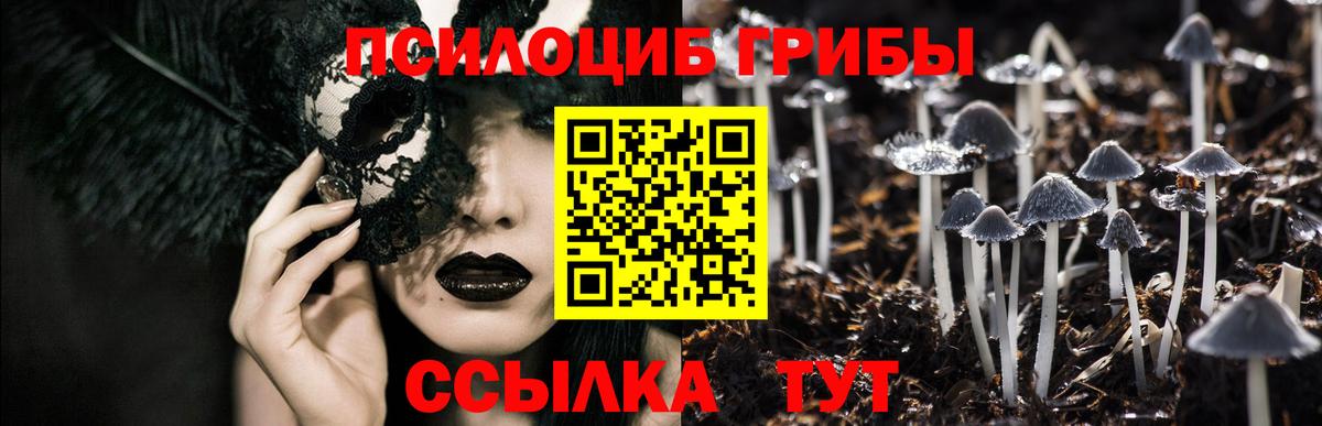 Галлюциногенные грибы мухоморы  Вход с VPN  дарнет шоп  Галлюциногенные грибы Psilocybine cubensis  Мариинск 